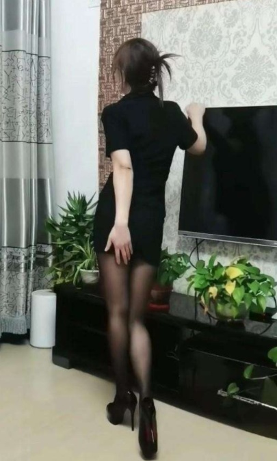 呼市服务好燕子