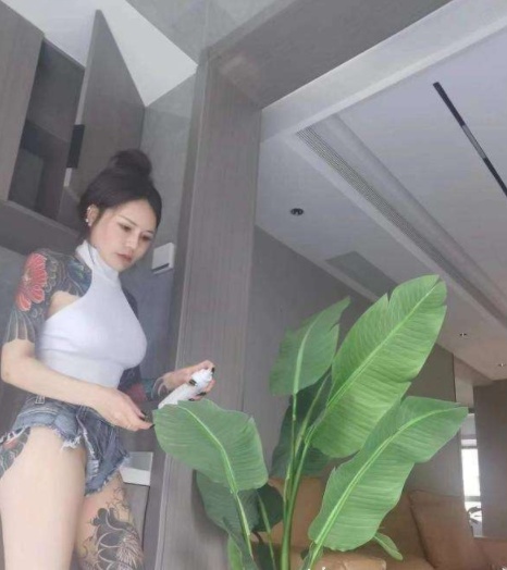 最爱的猫猫姐