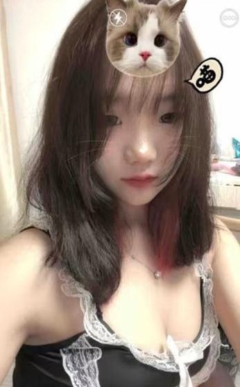 天桥向日葵回来了
