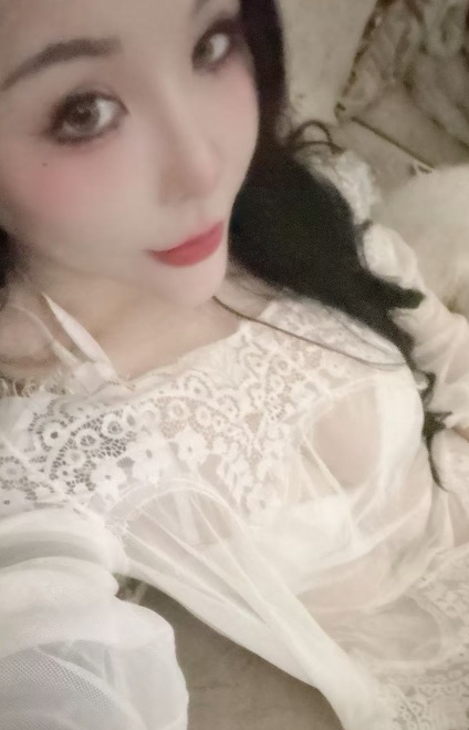 栖霞中项小野猫