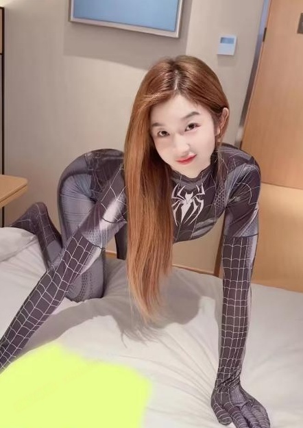 南门小野猫