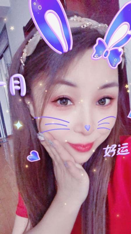 北辰小燕子