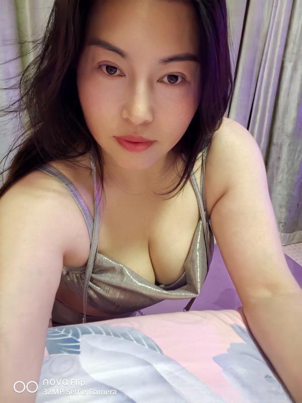 江宁淑女夜猫