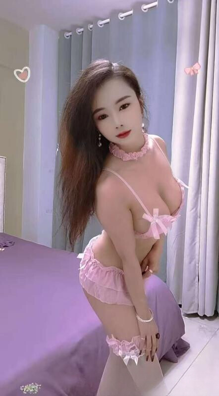包河小野猫