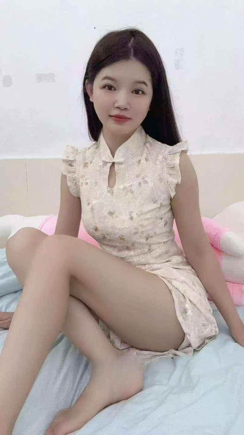 管城区钢枪小美