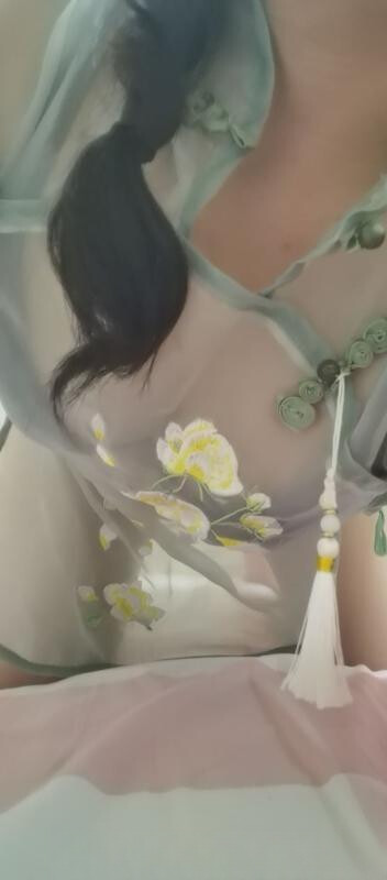 蜀山猫猫