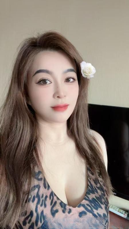 东北老师