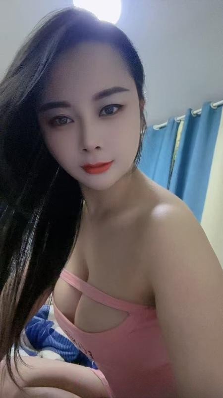 包河小夜猫