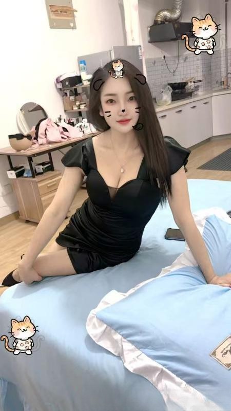 蜀山小野猫