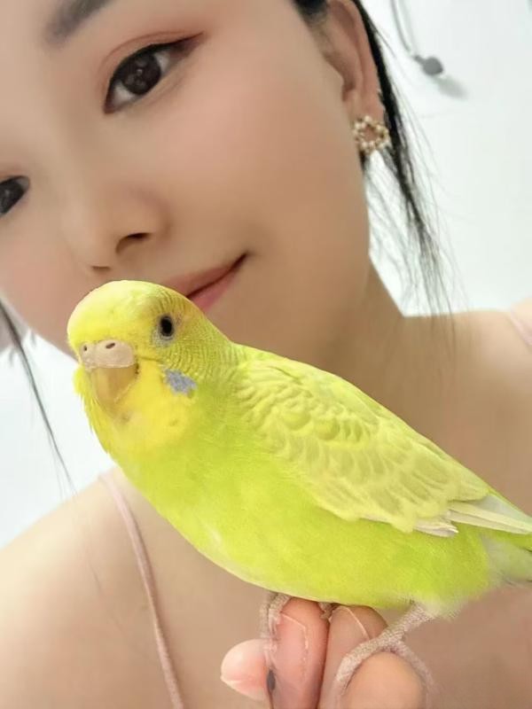 江岸个人半套小姐姐
