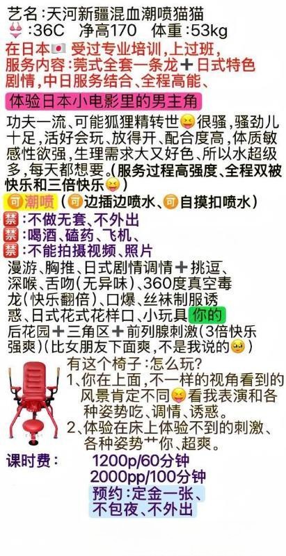 天河新疆混血潮喷猫猫