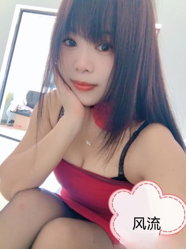 树木岭小狐狸