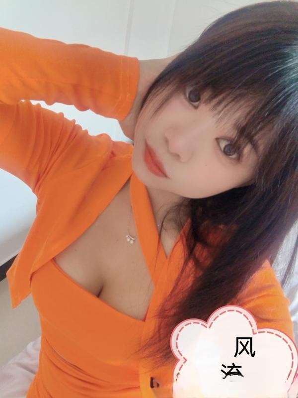 树木林小狐狸
