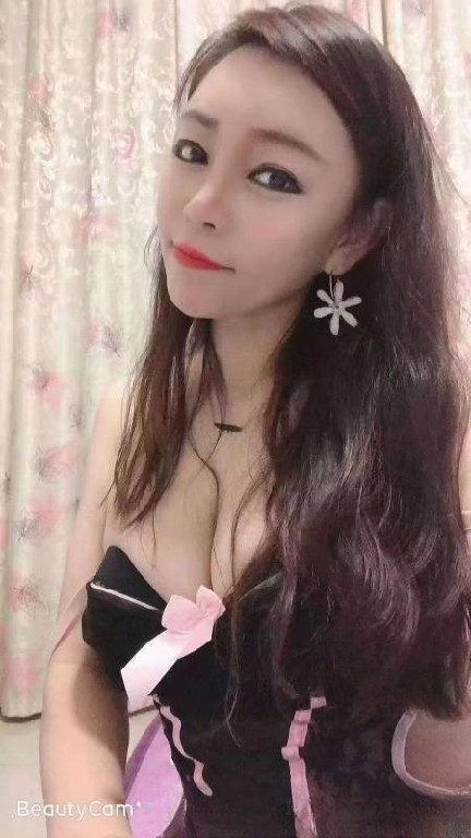宝安翻身小肥猫