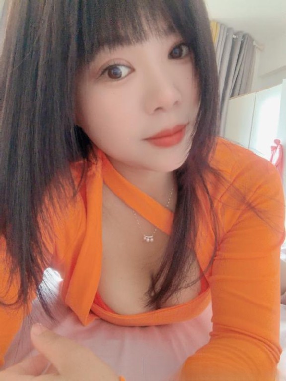 树木岭小狐狸