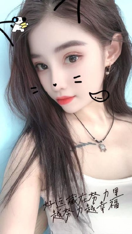 南开全套小家伙