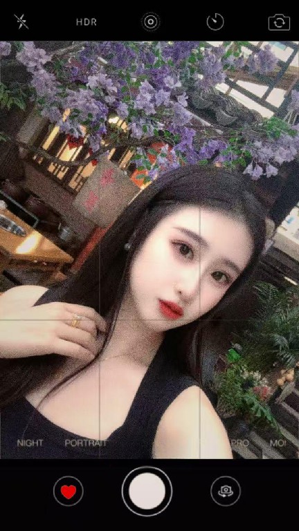 南山大奶琪格格