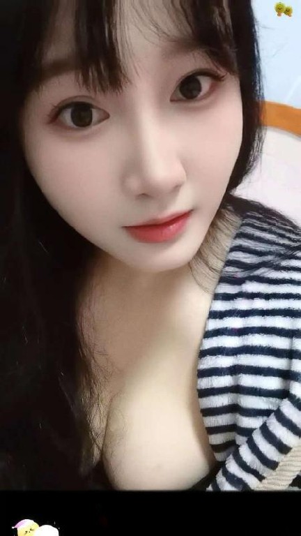 北一环雪儿回来了