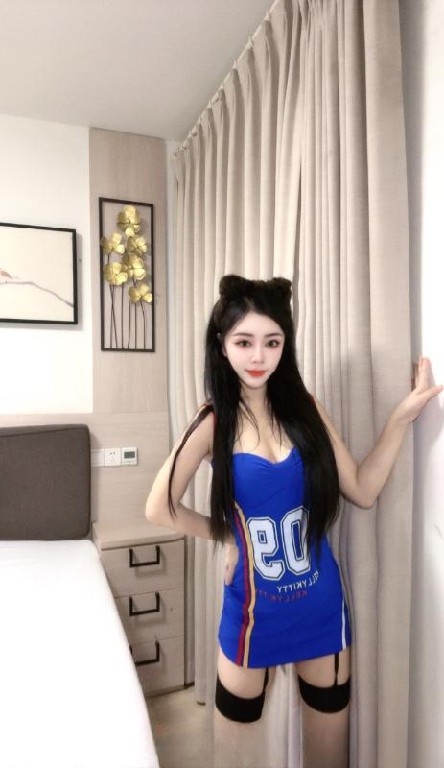 姑苏小野猫可可豆