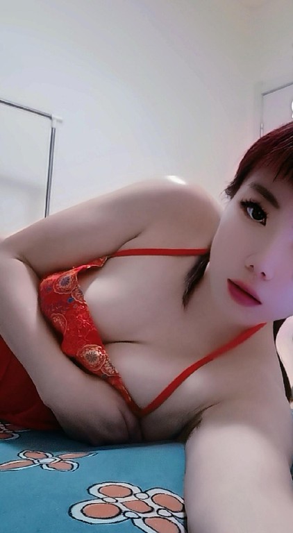 沈阳性感骚情人