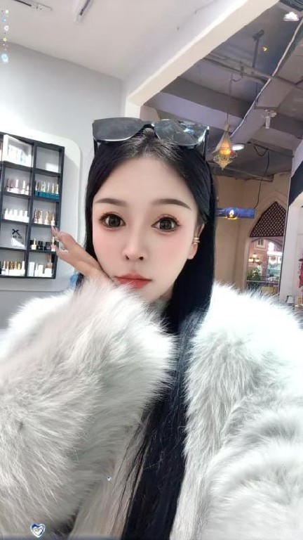 兰州小奶猫回归