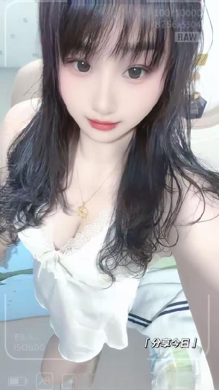 长春小笨鸡